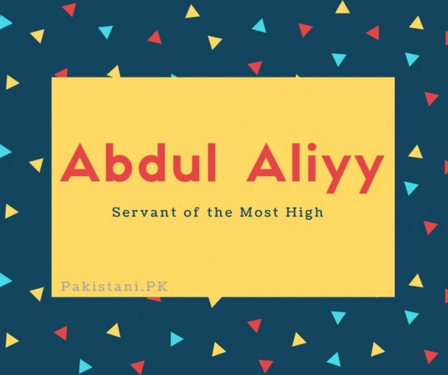 Abdul Aliyy