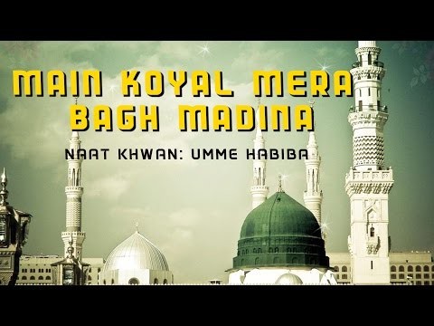 Mein Koyal Mera Bagh Madina