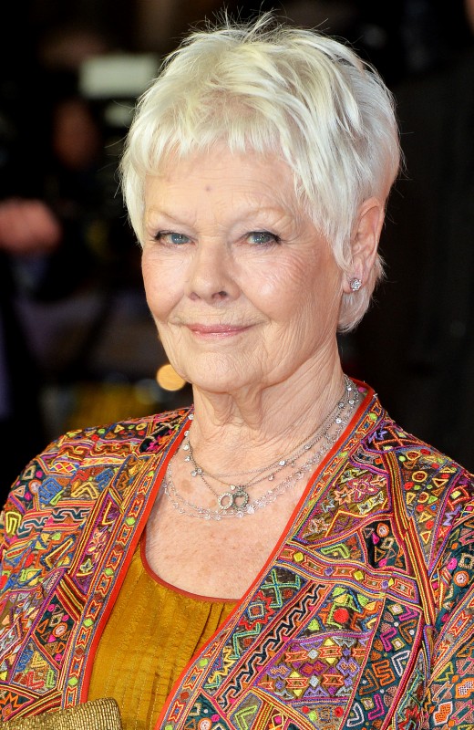 Judi Dench Movies List Height Age Family Net Worth