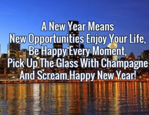 Famous 50+ New Year Funny Quotes And Status